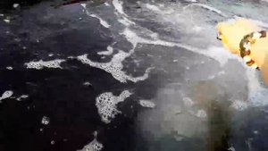 Сероводородная вода