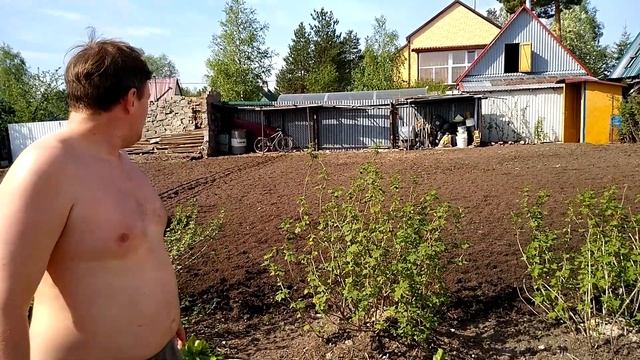 Вспашка огорода и посадка картошки смотреть онлайн