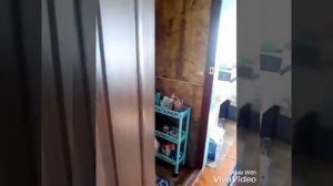 MY MORNING||МОЁ УТРО||ELVIRA SKY