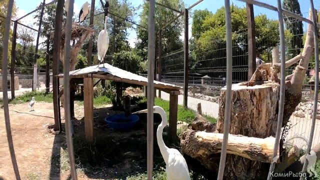 На машине в Крым. Путешествие с Севера на Юг 2018 год. Бахчисарай. Часть 5 смотреть онлайн