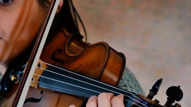 LOTR Riders Of Rohan On Violin | How To Play Tutorial | Beginner Violin смотреть онлайн