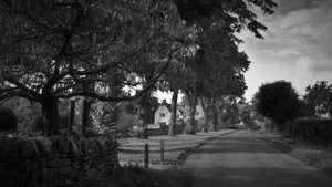 Two Years Later by William Butler Yeats