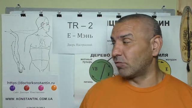 Задняя поверхность кисти, запястья и предплечья.