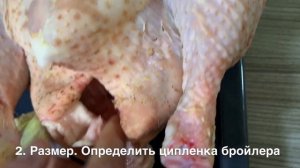Как выбрать курятину без гормонов и антибиотиков