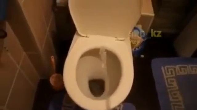 Как правильно ходить по нужде) смотреть онлайн