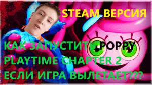 КАК ЗАПУСТИТЬ СТИМ ВЕРСИЮ ИГРЫ POPPY PLAYTIME CHAPTER 2 ЕСЛИ ОНА ВЫЛЕТАЕТ НА DIRECTX 11