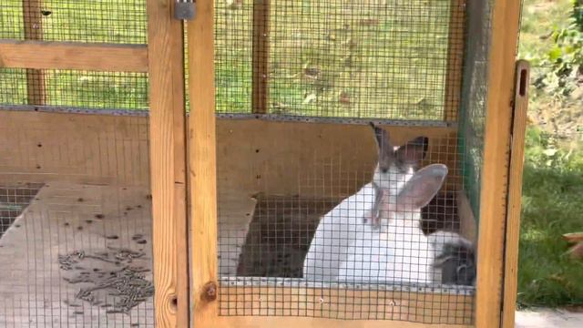 The first day of sophomore year|| Webster University📔🇺🇸 Первый день второго курса смотреть онлайн