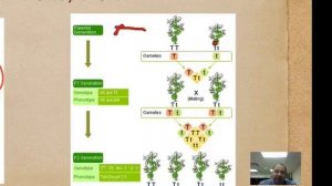 Genetics Intro - Who is Gregor Mendel?