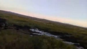 Каракат с Соколом в болотах