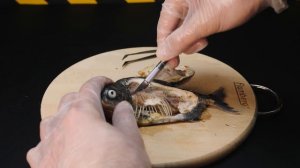 ЧТО ВНУТРИ ПИРАНЬИ? ВСКРЫВАЕМ УМЕРШУЮ ПИРАНЬЮ. СМОТРИМ ПОД МИКРОСКОПОМ