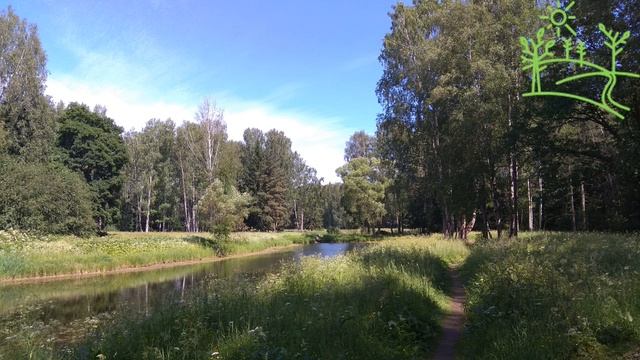 Пение птиц для души смотреть онлайн