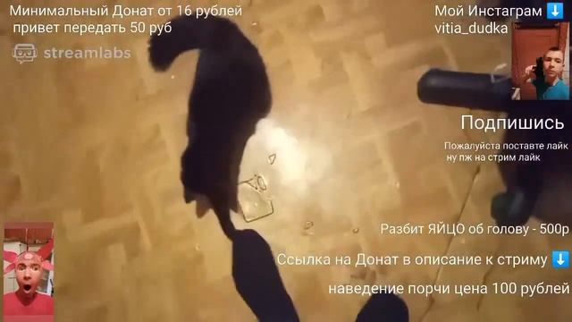 ?? КОПАТЫЧА Виктора Дудку укусила ПЧЕЛА на стриме смотреть онлайн