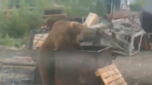 Камчатский край рудник золотой рудник асача