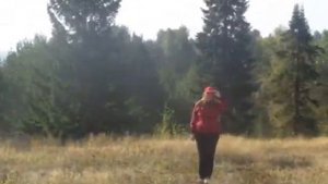 Попутный ветер  - Исполнитель  Любовь Шепилова