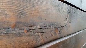 Планкен своими руками живее всех живых