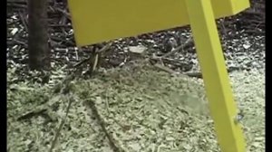 Измельчитель веток к мотоблоку.