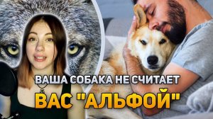 Нет, ваша собака не считает вас "Альфой" | DeeaFilm