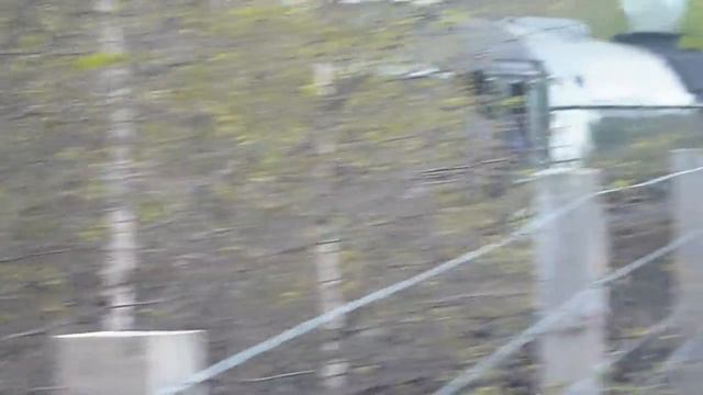 "Tornado" leaving Kincraig on 19th May 2012 on The Cathedrals Explorer Tour.MOV смотреть онлайн