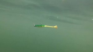 Силиконовые приманки Mikado Fishunter TT