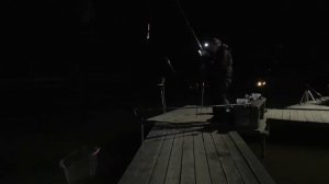 Светящиеся поплавки Опыт использования