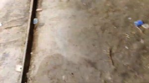 ?Диагностика ПАЗ Автобус?