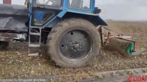 Щётка для чистки сухой листвы на клубнике