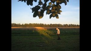 Bounty Hunter Quick Draw Pro - бюджетный металлоискатель для новичка!