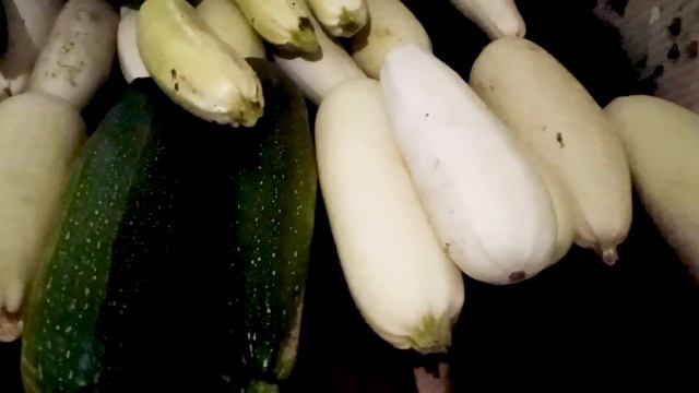 Окончание огородного сезона 2021. Что выросло у нашей тыквы гиганта! Модернизация выгула для кур. смотреть онлайн