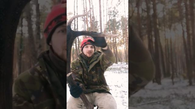 Рог оленя 2023, zrzuty 2023 смотреть онлайн