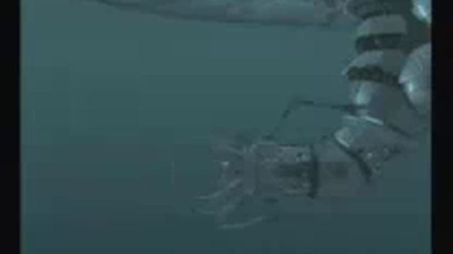 code lyoko quest for infinity ultimate preview combo смотреть онлайн