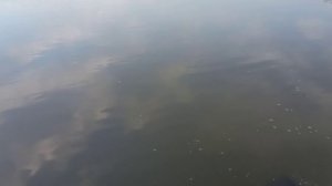 Рыбалка с Васей. Обрывы, сходы и не стандартные вываживания😱😱😱