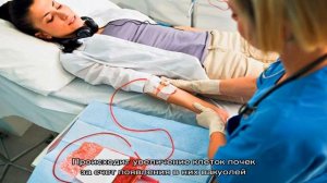 Нефроз почек