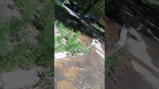 Черниговская 5 река течет 19.05.19
