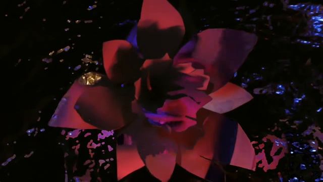 Narcissus - Short Film смотреть онлайн