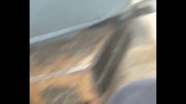 жук ???????? ????1.???????????? смотреть онлайн