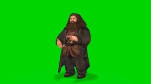 ХАГРИД из ГАРРИ ПОТТЕРА АПЛОДИРУЕТ на ЗЕЛЕНОМ ФОНЕ ФУТАЖ / HAGRID HARRY POTTER FOOTAGE