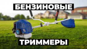 Рейтинг лучших бензиновых триммеров в 2024 году ⚡️ для дачи и сада