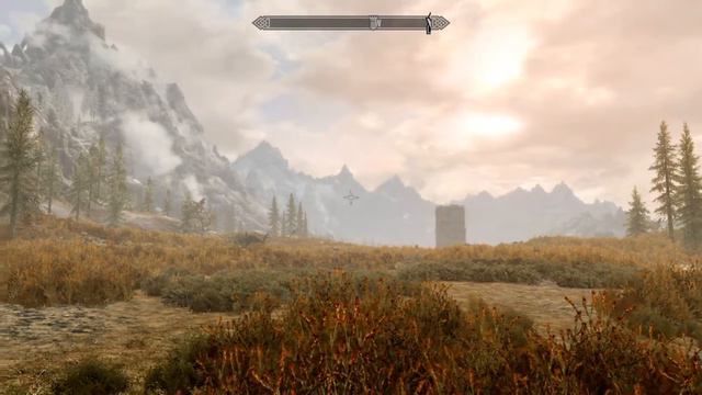 Skyrim - Uh...Physics?