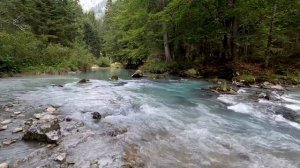 Звуки горной реки ASMR | Расслабляющий шум реки в лесу для мгновенного снятия стресса и сна.