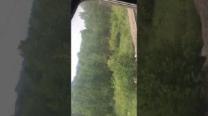 Зарядка в поезде