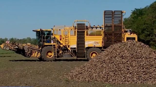 В Воронежской области завершается сев озимых зерновых культур