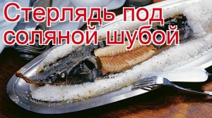 Рецепты из стерляди дикой - как приготовить стерлядь пошаговый рецепт - Стерлядь под соляной шубой