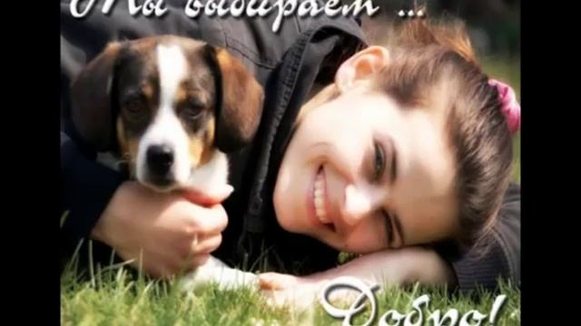 Песня про русь.mp4 смотреть онлайн