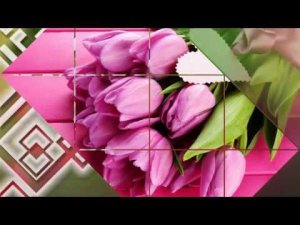 Projekt ProShow Produser "The magic of tulips"