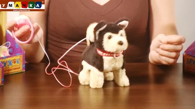 04264 Интерактивная игрушка собачка Дружочек 1 смотреть онлайн