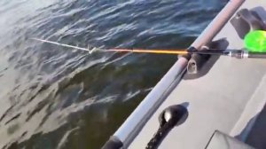 Кивок "Арбалет" в действии