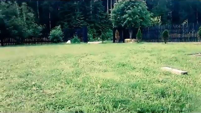 Матч 1 на 1,на МАЛЕНЬКИЕ ворота смотреть онлайн