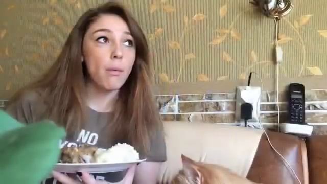 Когда до лета меньше месяца - А ТЫ НЕ ПОХУДЕЛА! смотреть онлайн