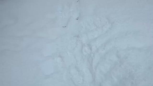 Почему хрустит снег под ногами? смотреть онлайн