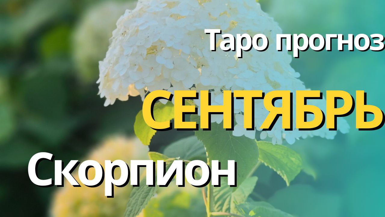СКОРПИОН СЕНТЯБРЬ 2023 [Таро прогноз]